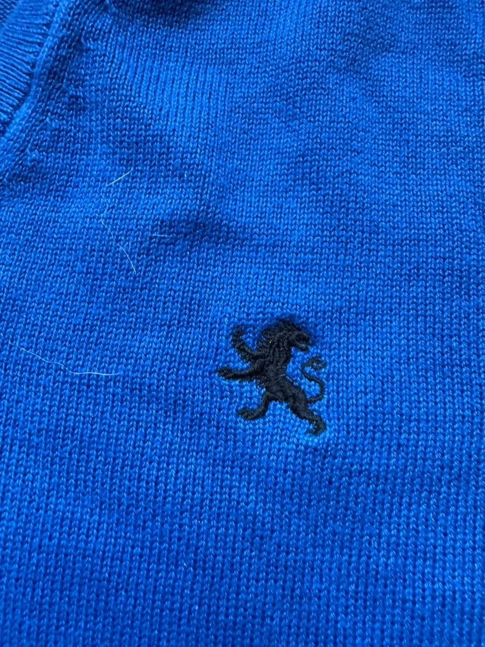 Express Men's V-Neck Sweater in Bright Blue